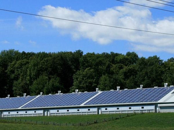 Saulės parkai Lietuvoje ir galimybės įsigyti dalį elektrinės juose